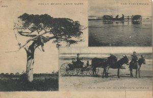 HOLLY BEACH , New Jersey, PU-1906