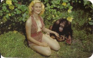 Miami FL, Beautiful Woman, Sexy Girl at MonkeyJungle w Chimpanzee, 1950's