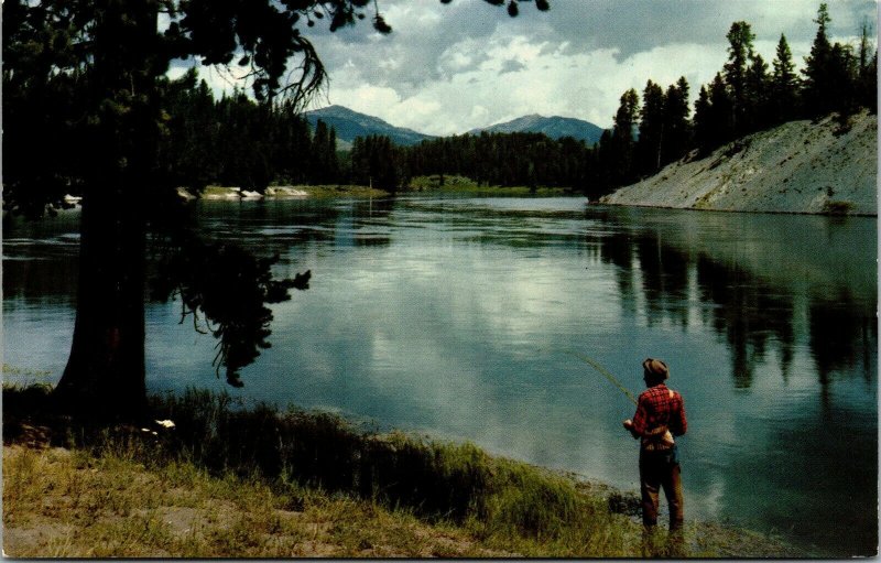Vtg Wyoming WY Fishing Yellowstone River National Park 1950s Unused Postcard