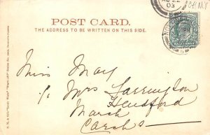 P.M. & Co Publishing Artist Louis Wain 1903 