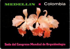 VINTAGE CONTINENTAL SIZE POSTCARD ORCHID FLOWERS MEDELLIN ANTIOQUIA COLOMBIA