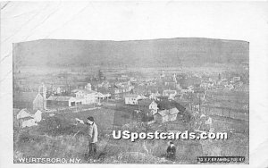 Birds Eye View - Wurtsboro, New York NY Postcard