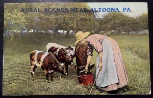 Vintage Postcard 1910 Set of 2 Rural Scene near Altoona, Pennsylvania (PA)