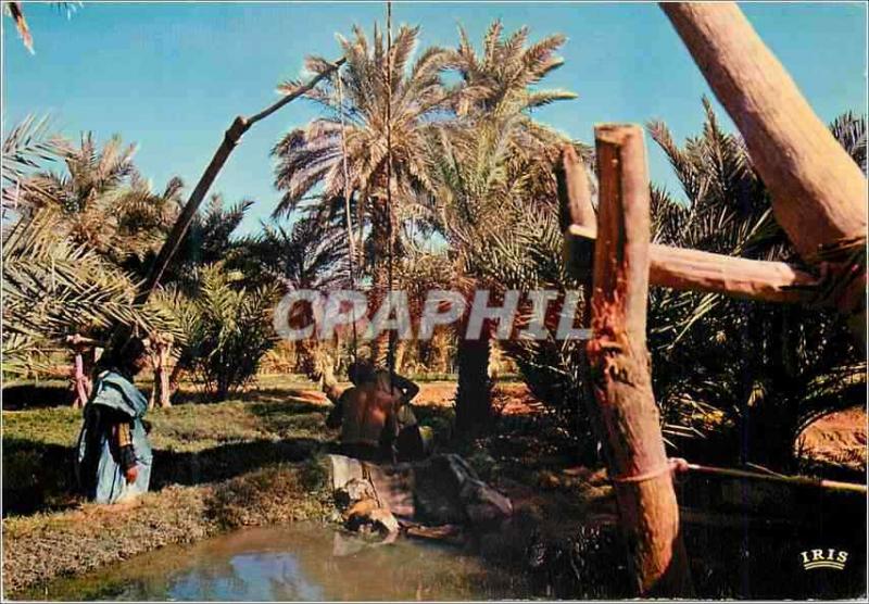  Modern Postcard Islamic Reference mark of Mauritania Oasis