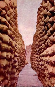 Washington View Between The Walls Of 100,000 Sacks Of Wheat Grown In The Nort...