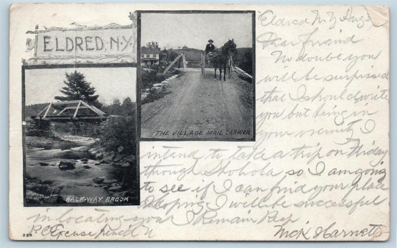 Postcard NY Eldred Bridge Halfway Brook Village Mail Carrier Horse Buggy 1905 O4