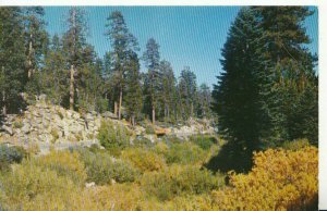 America Postcard - Snow Valley - California - High In The San Bernardino TZ11263