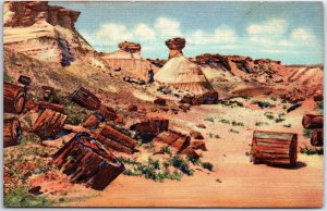 VINTAGE POSTCARD PETRIFIED WOOD AND EROSIONS PETRIFIED FOREST ARIZONA 1930s