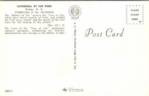 Cathedral The Pines Rindge New Hampshire NH Tree Of Life Fruit Water Postcard 