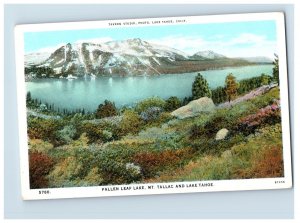 Vintage Fallen Leaf Lake, MT. Tallac And Lake Tahoe Postcard F126E