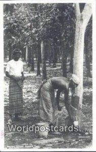 Tapping Rubber Tree Malaysia Postcard