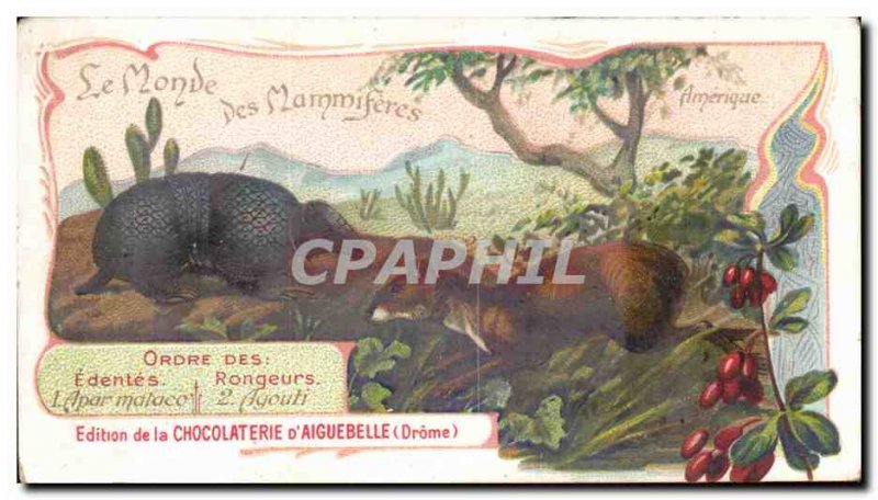 Chromo Chocolaterie d & # 39Aiguebelle AmeriqueAgouti Apar Malaco