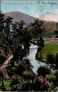 Australia Scene at Sunnyside Warburton Western Australia Vintage Postcard 09.96