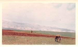 Ruins at Baalbek, Non Postcard Backing, Dated 4-12-1966 Ablah, Lebanon  writi...