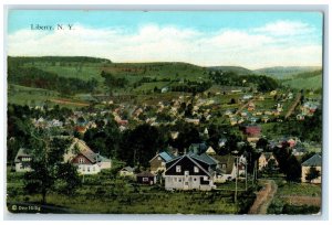 1950 Birds Eye View Of Liberty Monticello New York NY Posted Vintage Postcard