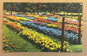 UNPOSTED LINEN POSTCARD - ROSE GARDEN, CITY PARK, READING, PA.