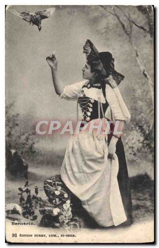 Old Postcard Bernerin