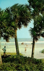 Georgia Sea Island The Beach Club View Of Palm Trees and Ocean