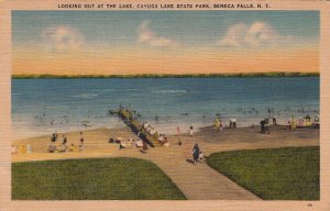 Postcard Looking Out at lake Cayuga Lake State Park Seneca Falls NY