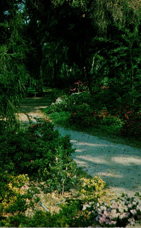 California La Canada Descanso Gardens A Garden Trail