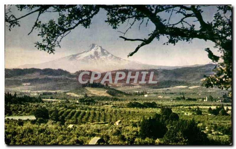 Old Postcard Hood River Oregon Valleay