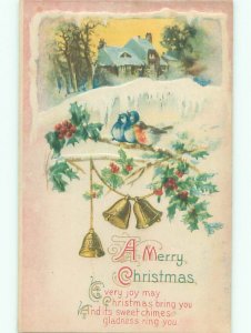 Divided-Back CHRISTMAS BIRDS SCENE Pretty Postcard W8556