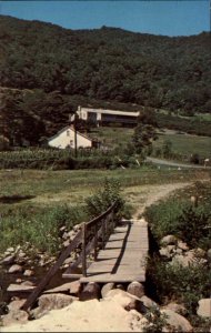 Syria Virginia VA Graves Mtn Lodge 1950s-60s Vintage Postcard