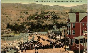 c1910 CATALINA ISLAND CALIFORNIA STREET SCENE ARRIVAL AT AVALON POSTCARD 41-68