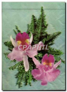Modern Postcard Fantasy Flowers (relief d?cor)
