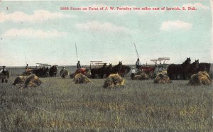 G13/ Ipswitch South Dakota Postcard 1909 J.W. Parmley Farm Harvest