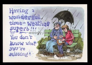 BES229 - Having a wonderful time - weather superb - Besley large comic postcard