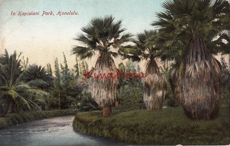 Postcard In Kapiolani Park Honolulu Hawaii HI