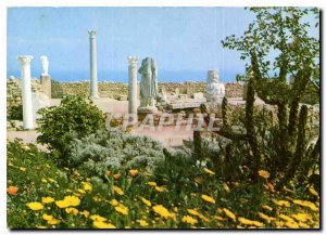 Modern Postcard the Carthage Tunisia antiquarium