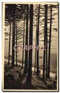 Postcard Old La Douce France Sous Bois in the Vosges