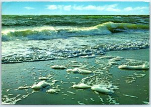 Postcard - Typical beach of Venezuela