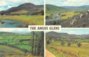 B103529 the angus glens glen clova glen esk    scotland