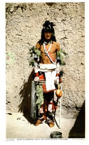 Hopi Indian , Santo Domingo Buck in Corn Dance Costume