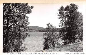 Muskoka Canada 1940 RPPC Real Photo Postcard Golden Pheasant Lodge on Fairy Lake