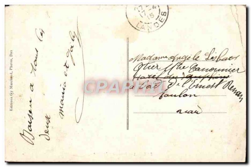 Old Postcard Dax Les Rives De L & # 39Adour Cows