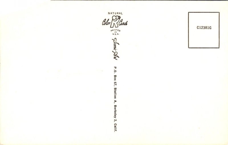 South Carolina, Florence - Greetings From - [SC-119]