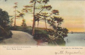 Road Scene Savin Rock Connecticut Rotograph 1907