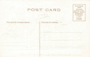 LP53 Carson City Nevada Postcard State Capitol