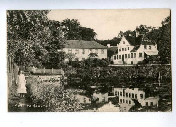 144718 DENMARK Parti fra RAADVAD Vintage postcard