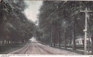 South Main Street , PRINCETON , Illinois , PU-1910