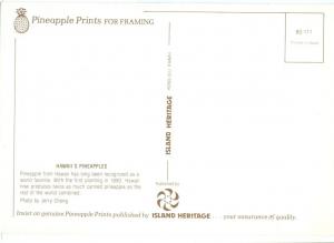 Hawaii's Pineapples, unused Postcard