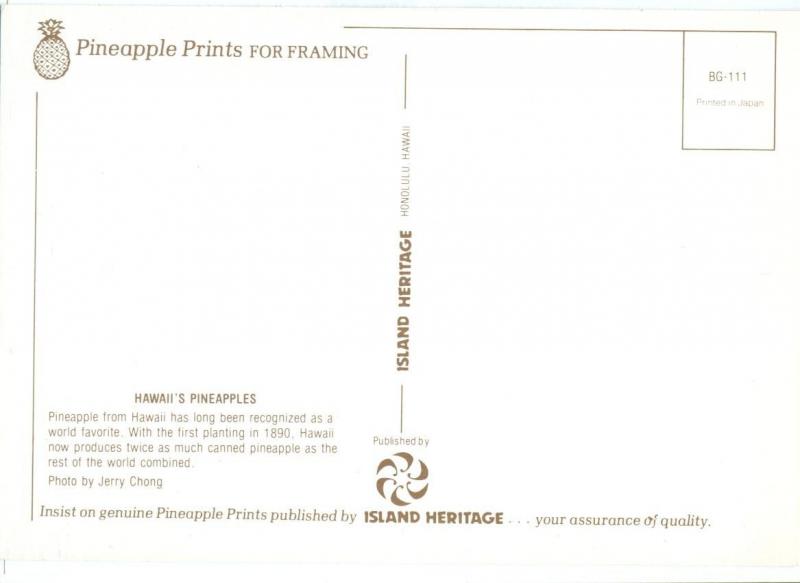 Hawaii's Pineapples, unused Postcard