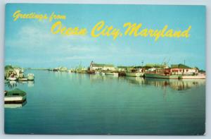 Postcard MD West Ocean City The Harbor Charter Fishing Boats Vintage N15