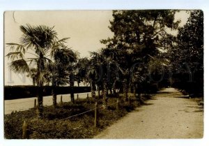 497307 Georgia Batum Primorsky Boulevard Vintage photo postcard