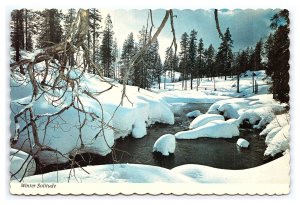 Winter Solitude Idaho Continental View Postcard