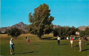 Arizona Biltmore Golfing roadside Phoenix Freman Studios Postcard 20-4181